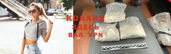 мет Каменка