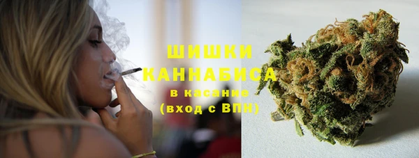 мет Каменка