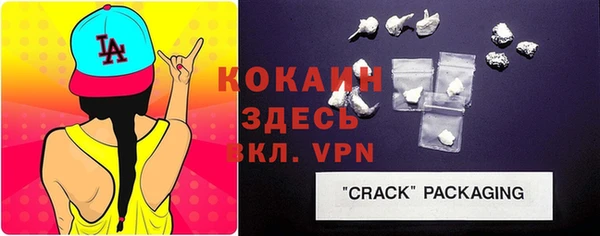 мет Каменка