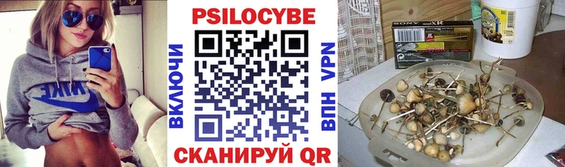 Купить где  Бежецк  Галлюциногенные грибы мицелий 